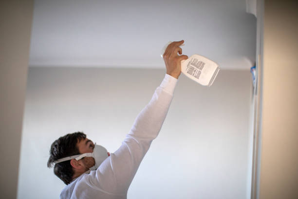 Best DIY Mold Remediation Support Services in Breckenridge Hills, MO