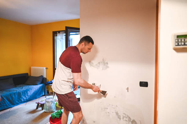 Best Post-Remediation Services in Breckenridge Hills, MO